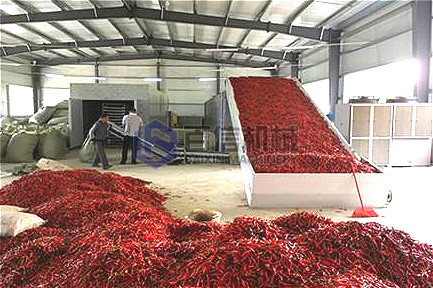 重慶小型網(wǎng)帶式辣椒烘干機